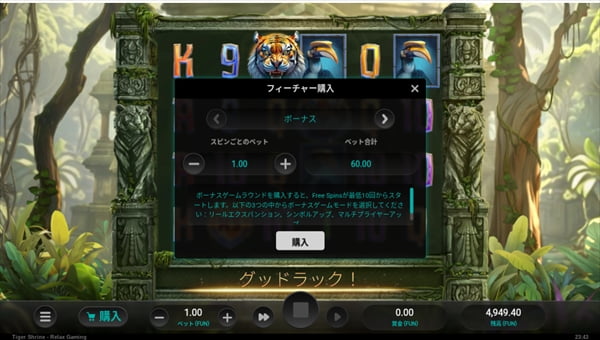 ボーナスフィーチャーを購入