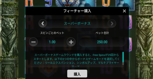 スーパーボーナス購入画面