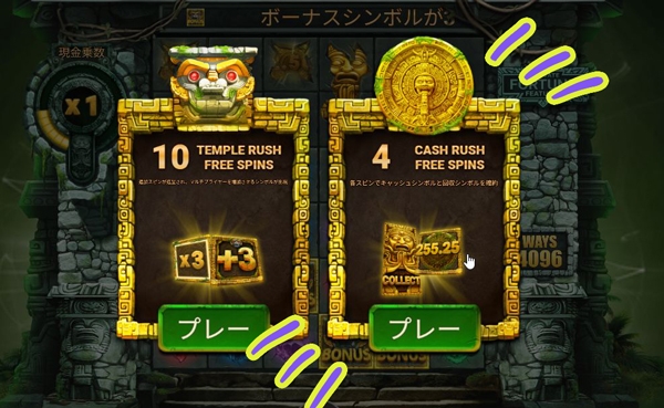 今回は右を購入