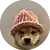 WIF